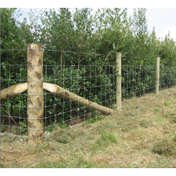 Hochfester galvanisierter Zaun für Pferd